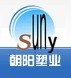 山东朝阳塑业有限公司