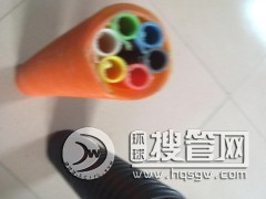 ʶͨƹܹ񼰱
